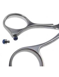 PDYSAKY BUTEE MONTEE SUR VIS