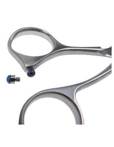 PDYSAKY BUTEE MONTEE SUR VIS