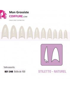 Faux Ongles Stiletto Boitex100 Assortis Naturel