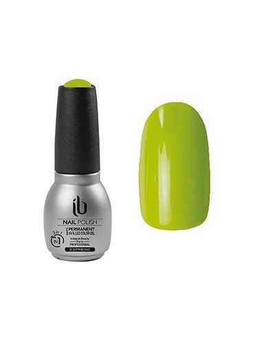 Gel/Vernis All-In-1 (14ml) Color Erable - IB
