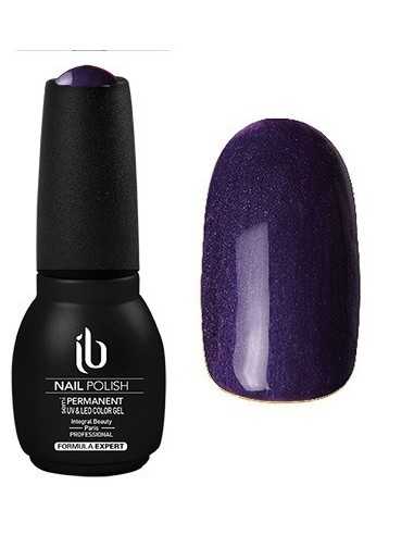 Gel/Vernis Formula Expert (14ml) Pourpre - IB