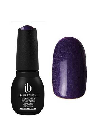 Gel/Vernis Formula Expert (14ml) Pourpre - IB