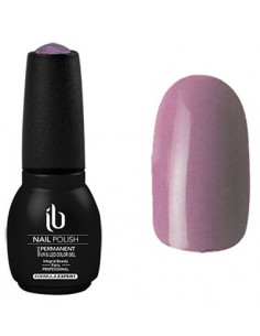 Gel/Vernis Formula Expert (14ml) Pourpre Anemone