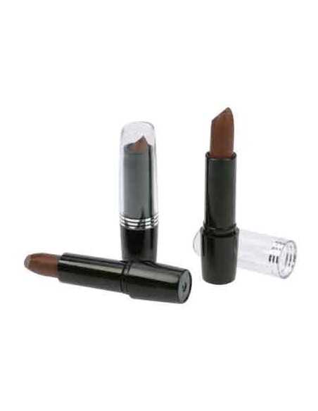 COLOR STICK CHEVEUX ACAJOU 5,43 INTEGRAL 5GR TF  P