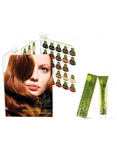 B-LIFE NUANCIER 45 MECHET.COLOR  2013-12  FVITA  P