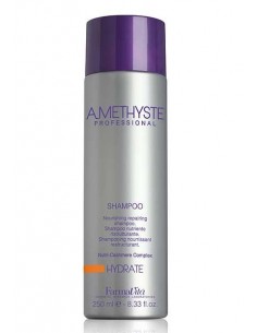 AMETHYSTE HYDRATE SHAMP SEC.250ml FVITA          P