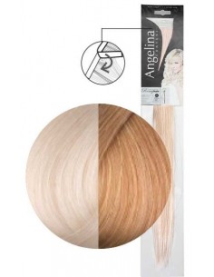 MECHEX AG-CT REMYHAIR BI-27+6134x45cmSKIx2    TF-P