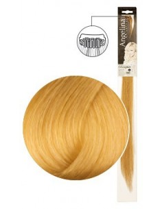 MECHEX AG-CT REMYH.1 CLIP 8.30808  3cm 5cm x1TF-P