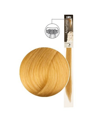 MECHEX AG-CT REMYH.1 CLIP 8.30808  3cm 5cm x1TF-P