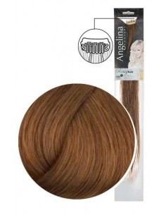 MECHEX AG-CT REMYH 2 CLIPS 278,34  7x45cm x1 TF-P