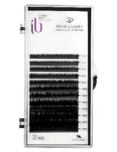 EXTENS.MONO.FX-CIL-C SOIE T-ASOR D-0.20 PLAQ P-TF