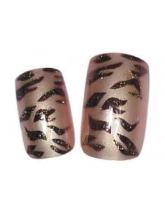 00-SINA FX ONG x24 TIGRE BRUN     TF             P