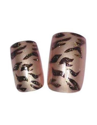 00-SINA FX ONG x24 TIGRE BRUN     TF             P