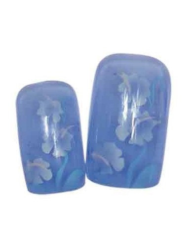 00-SINA FX ONG x24 ORKIS BLEUE       TF          