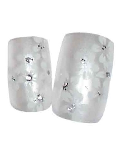 00-SINA FX ONG x24 ORKIS BLANCHE              TF-P