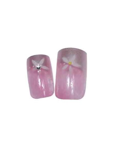 00-SINA FX ONG x24 ORKIS LYS D-OR            TF-P