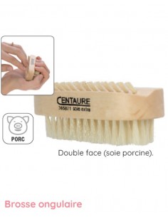 Brosse Ongulaire Centaure. Soie porcine. Double Face