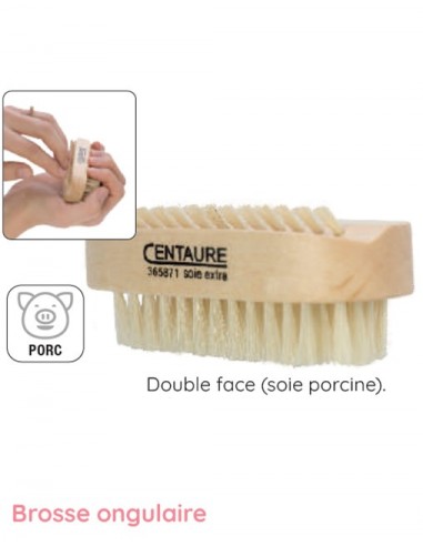Brosse Ongulaire Centaure. Soie porcine. Double Face