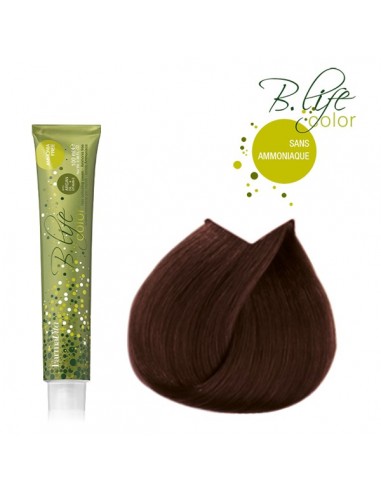 B-LIFE COLOR 5.32 SS AMONIAC TUBE 100ML FVITA-TF P