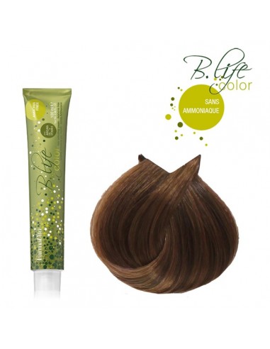 B-LIFE COLOR 5.34 SS AMONIAC TUBE 100ML FVITA-TF P