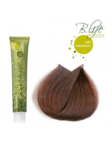 B-LIFE COLOR 6.35 SS AMONIAC TUBE 100ML FVITA-TF P