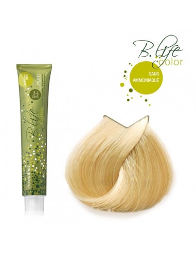 B-LIFE COLOR 9.03 SS AMONIAC TUBE 100ML FVITA-TF P