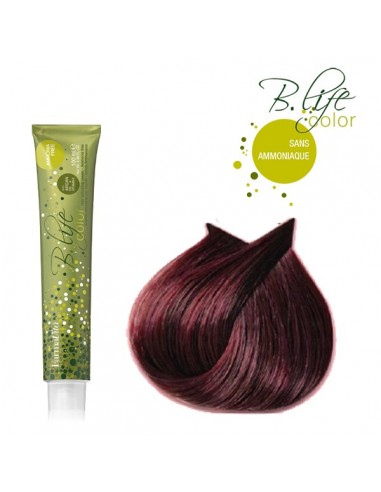 B-LIFE COLOR 6.62 SS AMONIAC TUBE 100ML FVITA TF-P