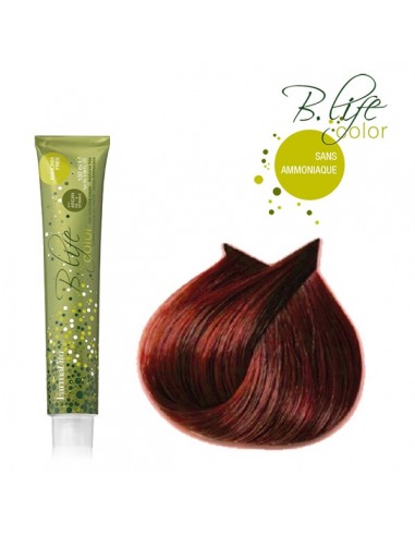 B-LIFE COLOR 6.66 SS AMONIAC TUBE 100ML FVITA TF-P