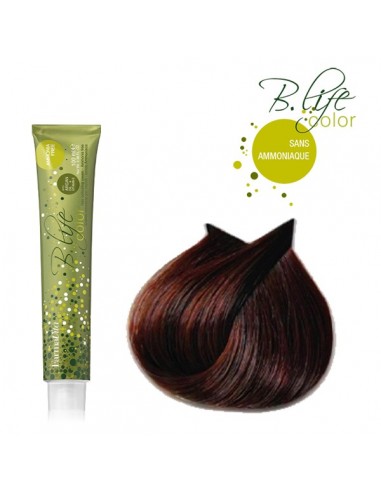 B-LIFE COLOR 5.5  SS AMONIAC TUBE 100ML FVITA TF-P