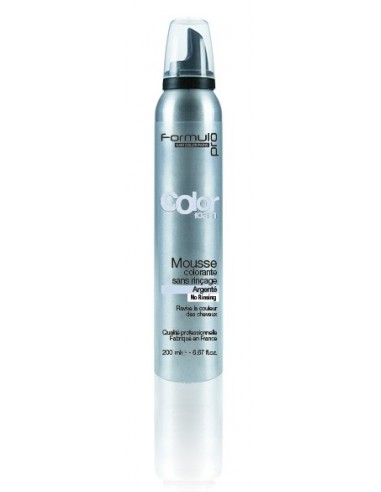 Mousse Colorante Spray Argent (200ml)