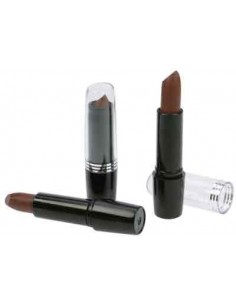 COLOR STICK CHEVEUX ACAJOU 5,43 INTEGRAL 5GR TF  P 2