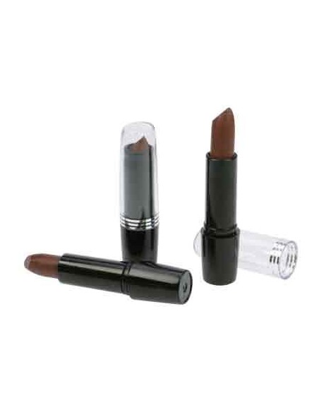 COLOR STICK CHEVEUX ACAJOU 5,43 INTEGRAL 5GR TF  P