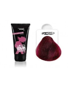 Coloration Flashy Color HAVANE (100ml) 2