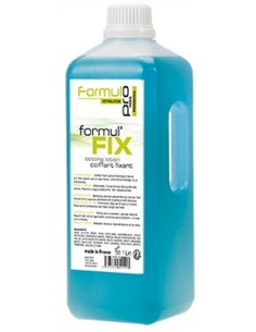 Coiffant Fixant Pour Brushing (1L) 2