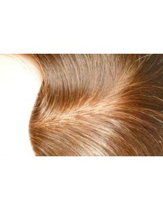 TETE KAREN ChevNaturExtra Chatain 35/40Cm        P