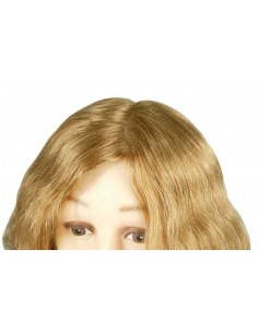 TETE JULY  AvEPAUL.PM  Chev7 30/35CMS            P