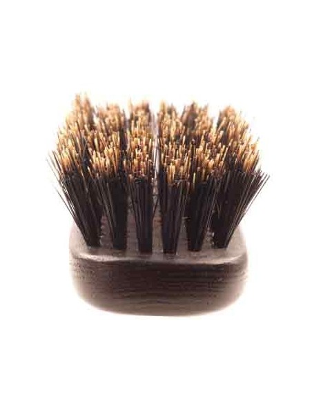 BR CENT. AXEL'R SANGEXTRA 6 RGS    COIFFAGE      P