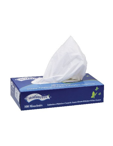 Mouchoir Boite De 100 Mouchoirs
