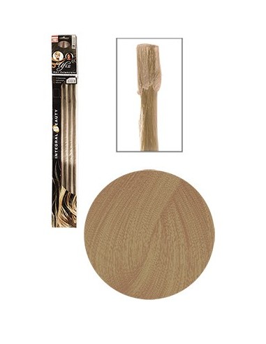 MECHEXNAT 23 (613) GluCh45cmx12 BlCTC N°10.2 TF  P