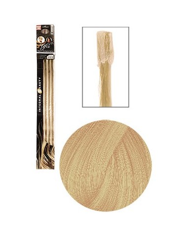 MECHEXNAT 25 GluCh45cmx12 BlCD  N°9.3    TF      P