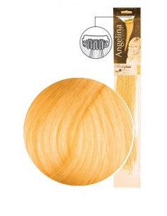 MECHEX AG-CT REMYH 2 CLIPS 8088.30 7x45cm x1 TF-P 2