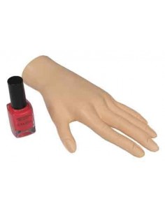 Main De Training Model Fixe - SINA 2