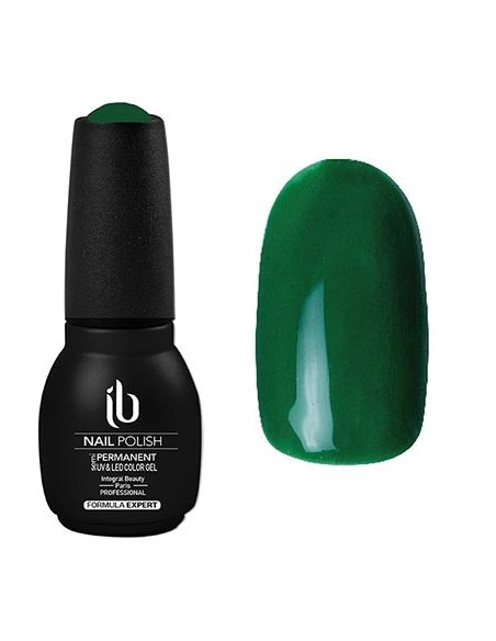 Vernis Semi-Permanent Formula Expert (14ml) Vert Sapin - IB