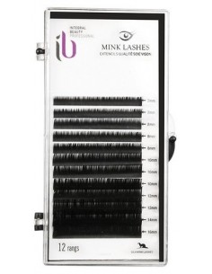 EXTENS.MONO.FX-CIL-C SOIE T-ASOR D-0.15 PLAQ P-TF 2