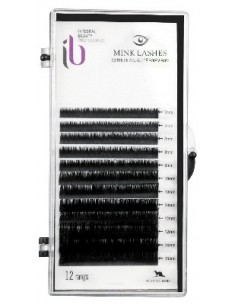 EXTENS.MONO.FX-CIL-C SOIE T-ASOR D-0.20 PLAQ P-TF 2