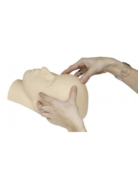 TETE ORIS VISAGE TRAINING MASSAGE                P