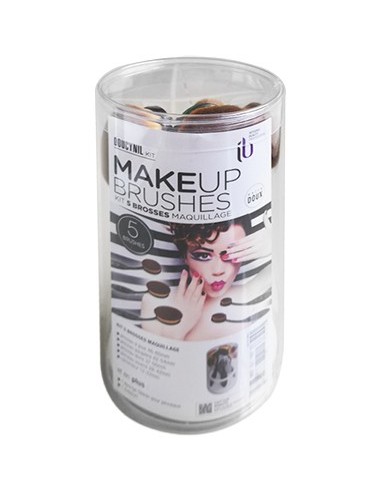 PINCEAUX BROSSES KITx5 DOUCYNYL+SILIKLIN+SUPPORT P