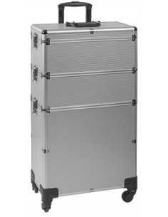 VALISE GM ALISHYP-4  SILVER         43*25*83 CM  P