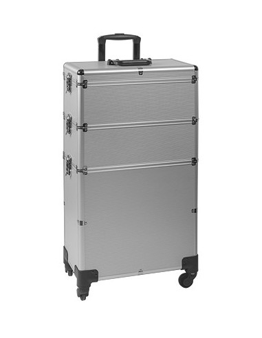 VALISE GM ALISHYP-4  SILVER         43*25*83 CM  P