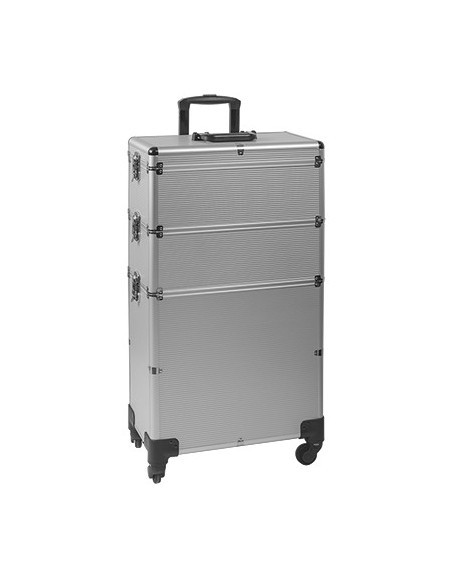 VALISE GM ALISHYP-4  SILVER         43*25*83 CM  P